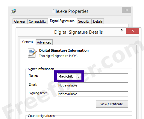 Screenshot of the Magicbit, Inc certificate